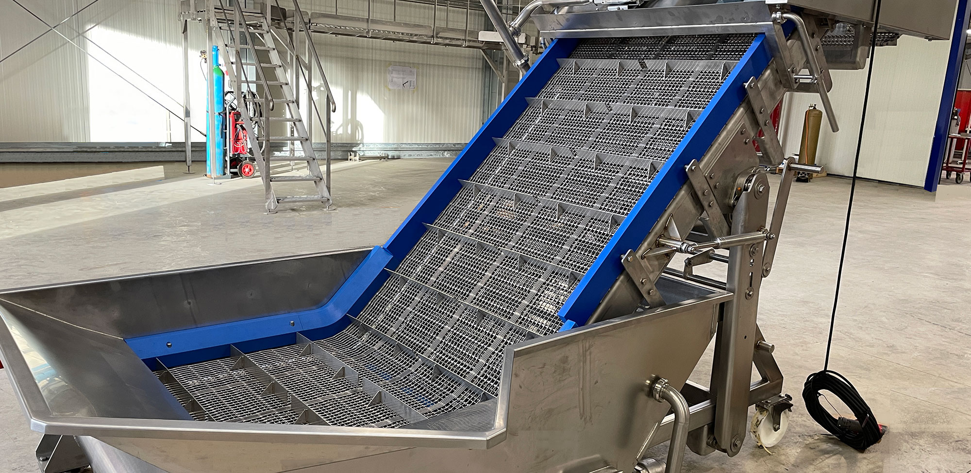 Convoyeur élévateur de sardines